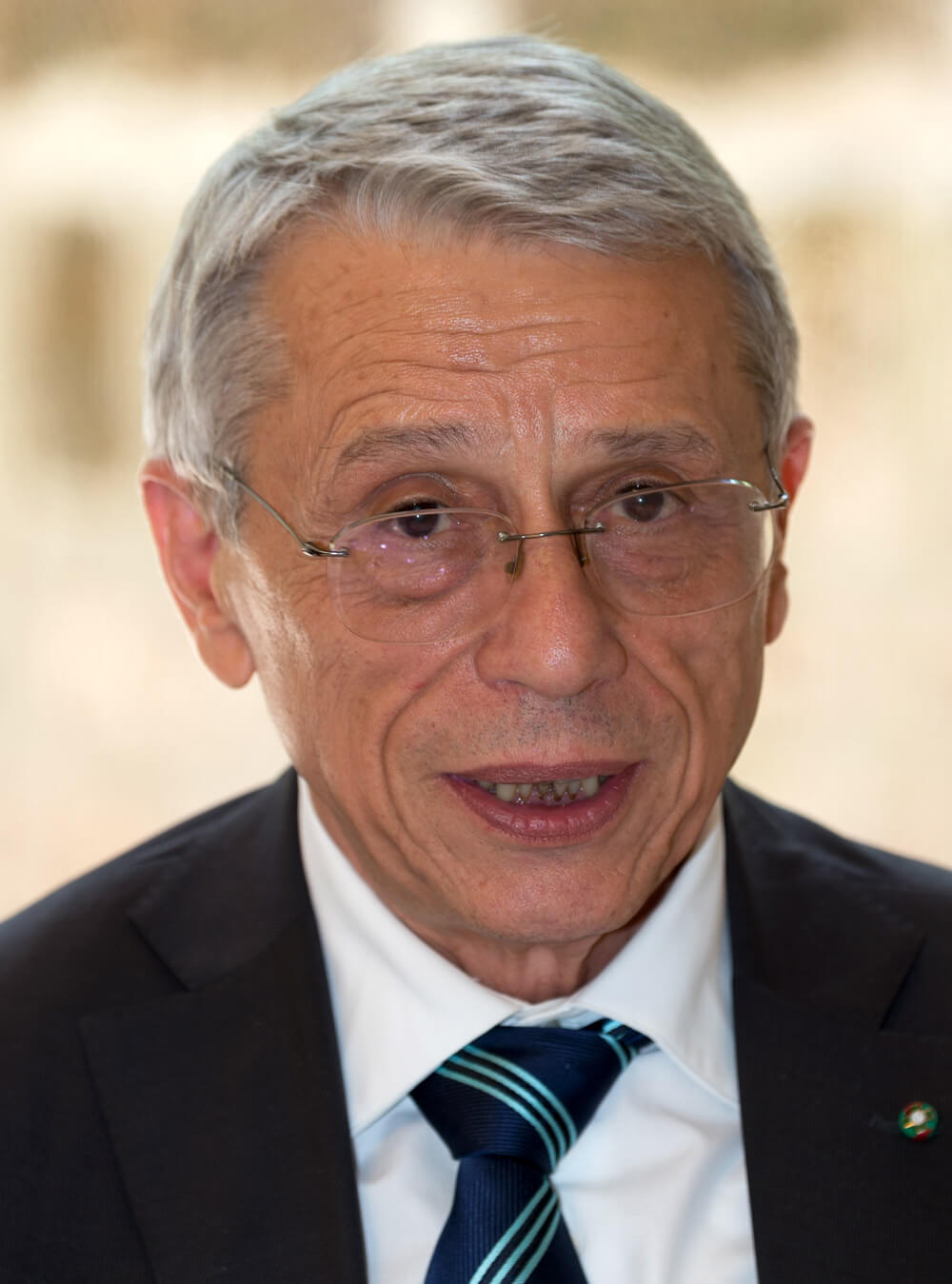 Vainer Marchesini Image